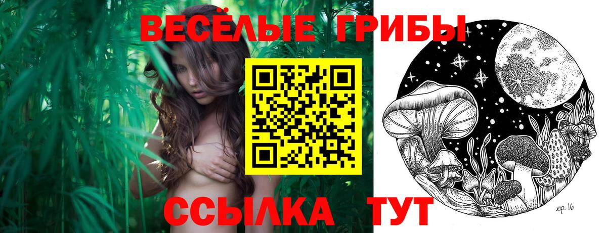 Галлюциногенные грибы MAGIC MUSHROOMS Клин