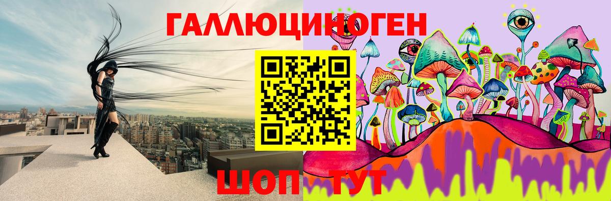 Клин  Галлюциногенные грибы мухоморы  Вход с VPN 